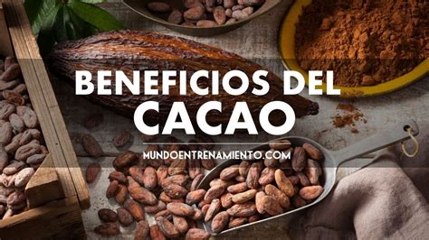 Beneficios del CACAO en el CORAZÓN CEREBRO Y RENDIMIENTO YouTube