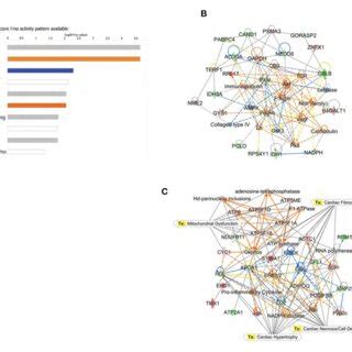 Ingenuity Pathway Analysis IPA Of Proteomic Data A Top 10