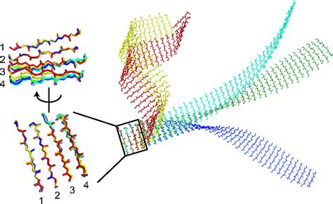 Atomic Structures Of Peptide Self Assembly Mimics Pnas