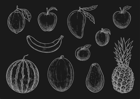 Premium Vector Vector Chalk Sketch Tropical Exotic Garden Fruits