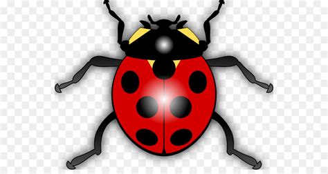 Drawing Ladybird Free Content Clip Art Ladybug Silhouette Cliparts