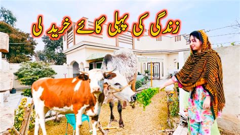 Cow Khareed Li Eid Say Pehle Brda Surprise Mila YouTube