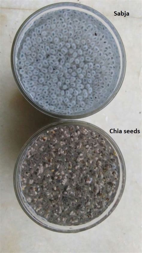 7 Differences Between Chia Seeds And Sabja Seeds Goqii