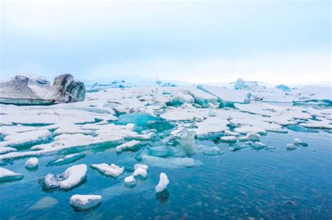 11,000+ Polar Pictures