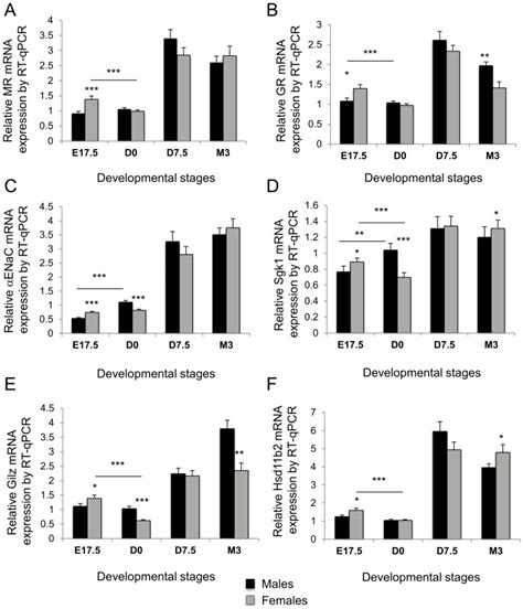 Sex Specificity Of Mineralocorticoid Target Gene Expression During