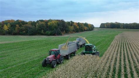 John Deere Chopping Corn Silage Youtube