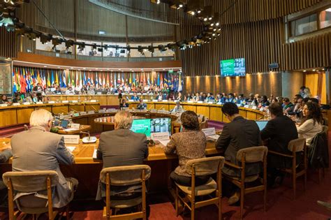 Maggiotti Particip De La Sexta Reuni N Del Foro De Los Pa Ses De Am Rica Latina Y El Caribe