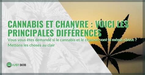 Quelle Est La Diff Rence Entre Le Chanvre Et Le Cannabis