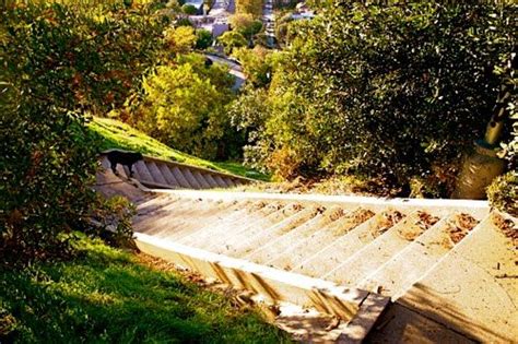 Panoramio Photo Of Baxter Street Stairs In Echo Park Los Angeles Ca