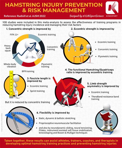 Hamstring injury prevention & risk management – YLMSportScience