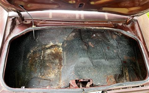 1977 Pontiac Trans Am Trunk Barn Finds