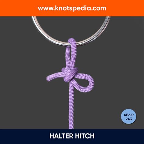 Hitch Knots Learn How To Tie Hitches With Knotspedia