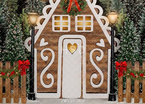 Gingerbread House Backdrop For Pictures Christmas Theme Backdrop