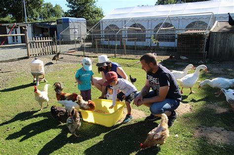 Visite Immersive De La Ferme Atelier Nourrissage Des Animaux La