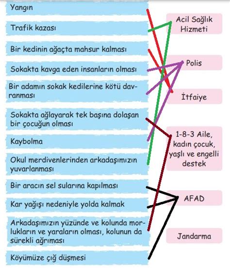 S N F Hayat Bilgisi Sayfa Cevaplar Ata