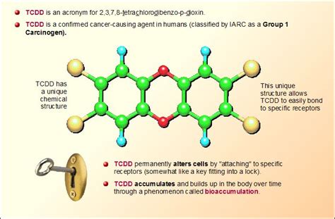 Tcdd And Dioxin Toxicology Consultants And Assessment Specialists