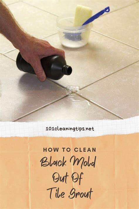 How To Clean Black Mold Out Of Tile Grout