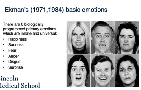 Week Emotion And Mood Flashcards Quizlet