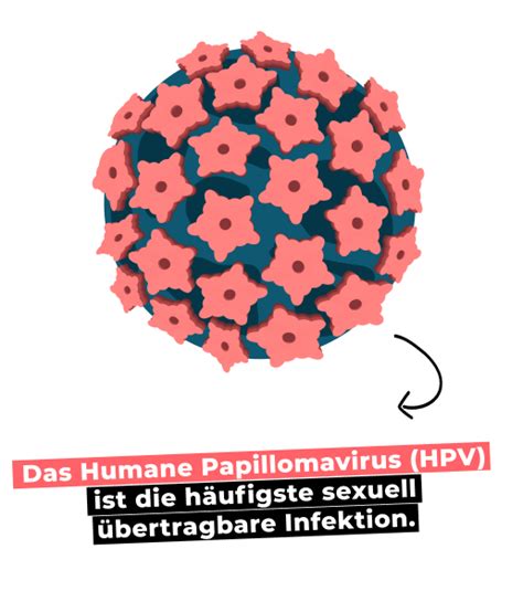 HPV Info für Frauen I HPV Infoportal