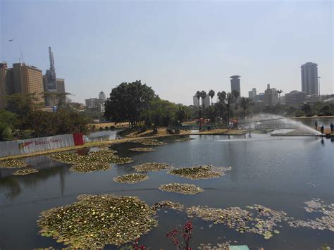 Nairobi's Best Green Spaces to Relax and Take Photos