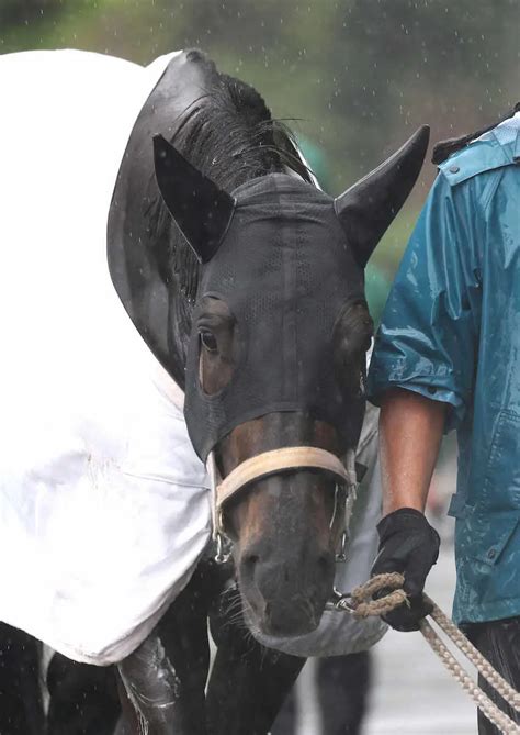 【宝塚記念】（10）ディープボンド 悲願へ状態良好、陣営「前走と比べても状態はさらに良くなっている」 スポニチ競馬web