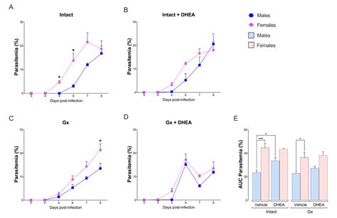 Ijms Free Full Text Dhea Induces Sex Associated Differential