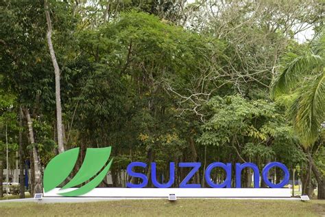 Suzano Abre Inscri Es Para O Programa De Est Gio Superior