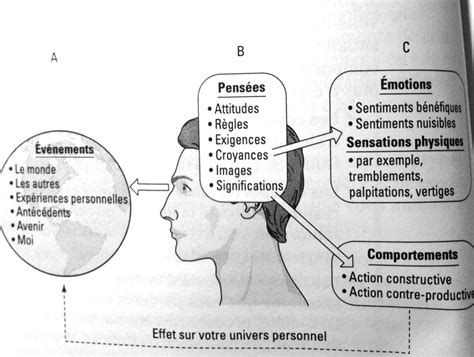 Outil Un Sch Ma Pour Comprendre Le M Canisme De Nos Pens Es Et Mieux