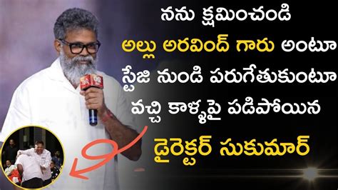 Pushpa 2 Director Sukumar Emotional Speech At Arya 20 Years