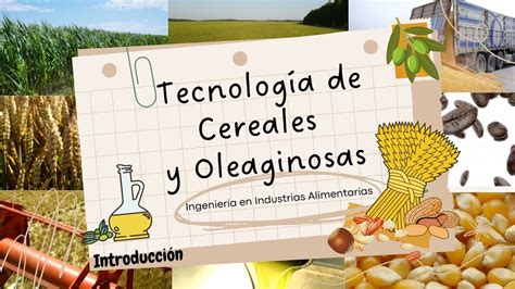 Tecnología de Cereales y Oleaginosas Ingeniería en Industrias