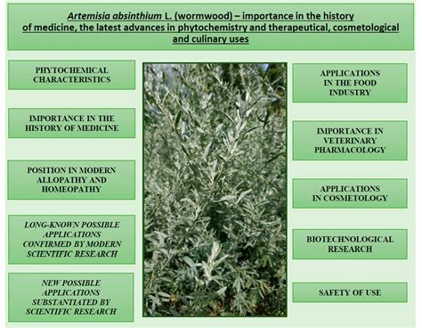 Plants Free Full Text Artemisia Absinthium L—importance In The