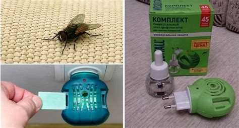 Fly fumigator ploče tablete i tečnost od mušica u zatvorenom i na