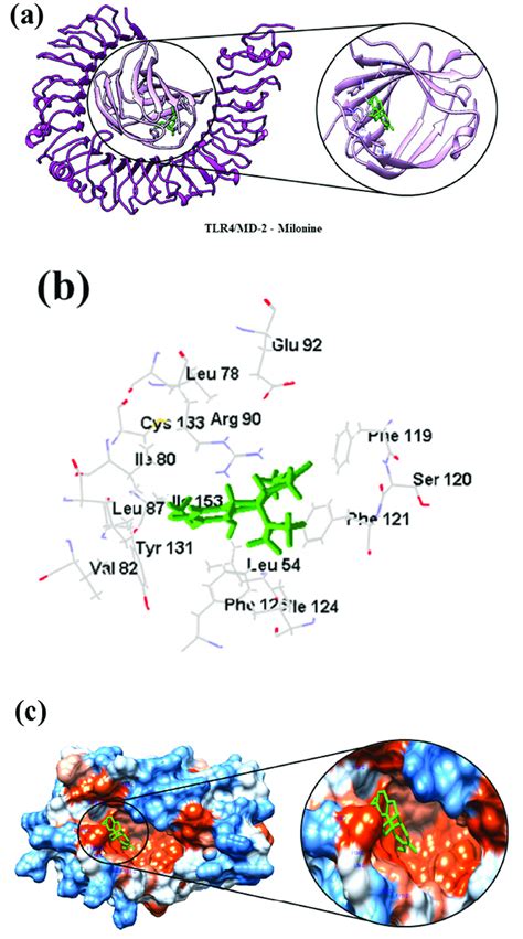 Structure Of The Tlr4md2 Complexed With Milonine A General