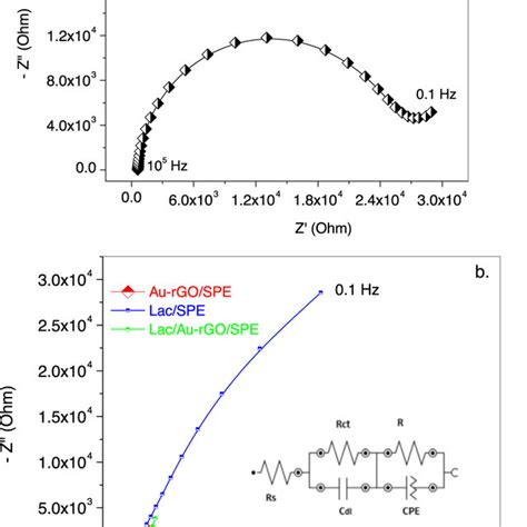 Eis Spectrum Of Spe Electrode A Eis Spectra Of Spe Modified