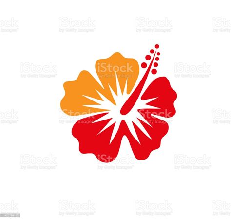 Illustration Of Hibiscus Red Tropical Flower Vector Stock Illustration