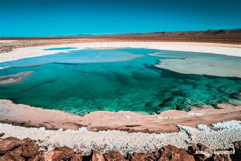 Deserto Do Atacama Dicas Completas E Guia Para Sua Viagem Um Viajante