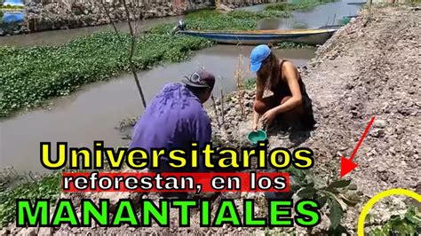 Universitarios Transformando la Isla Reforestación con Pasión