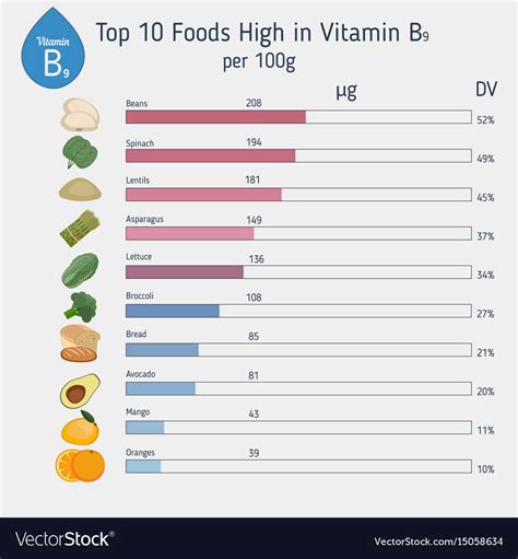 Vitamin B9 Or Folic Acid Infographic Royalty Free Vector