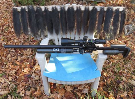 Crosman 362, 100-Year Anniversary Edition: Part Five | Blog | Pyramyd AIR