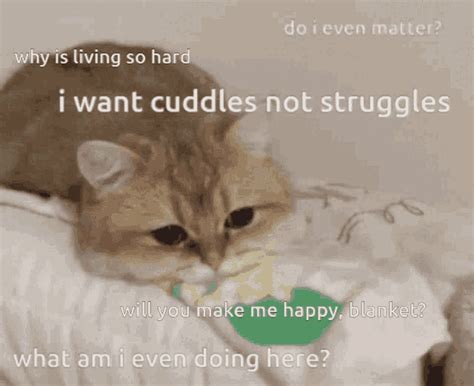 Why Is Living So Hard I Want Cuddles Not Struggles GIF - Why Is Living So Hard I Want Cuddles ...