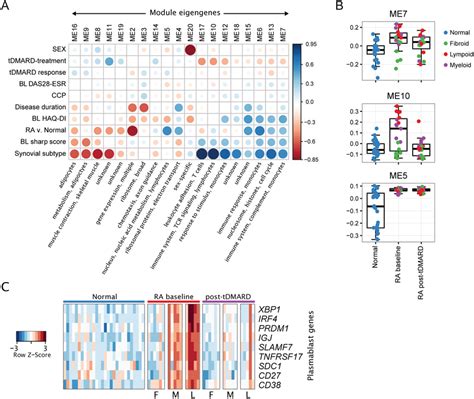 T Cell Activation And Plasmablast Plasma Cell Differentiation Pathways