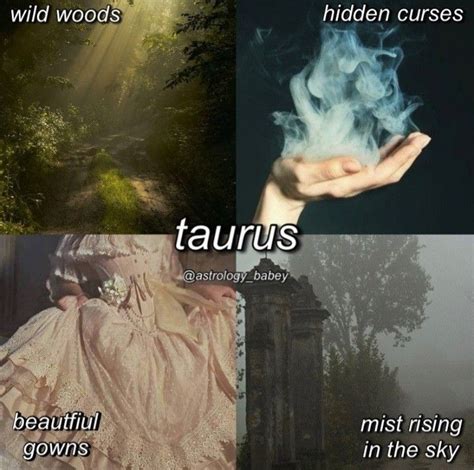 Taurus Zodiac Quotes Taurus Memes Zodiac Signs Astrology Taurus