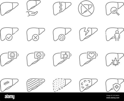 Set Of Liver Line Icon Internal Organ Digestive Organ Illness