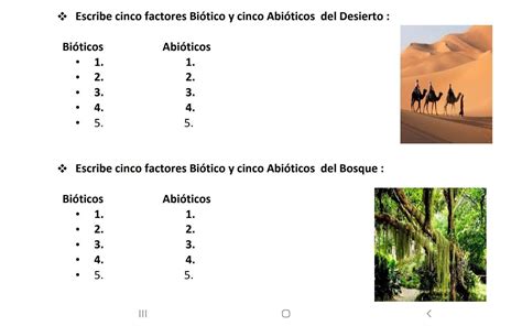 5 Factores Biótico Y 5 Abióticos Del Desierto Brainly Lat