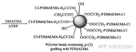 球形贝塔环糊精pdmaema β Cd偶联聚甲基丙烯酸n N 二甲氨基乙酯 知乎