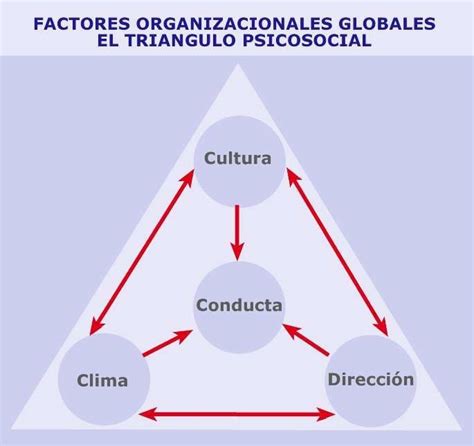 El Tri Ngulo Psicosocial De Las Organizaciones Upcplus