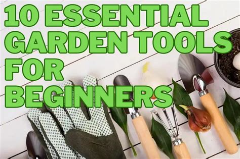 10 Essential Garden Tools For Beginners Your Guide Savzz