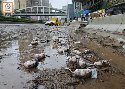 超颱蘇拉最強黑雨夾擊香江 9月雨量超正常值逾3倍破紀錄｜即時新聞｜港澳｜oncc東網