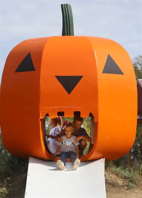 Fall Festival — Kc Pumpkin Patch