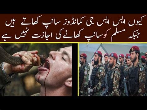 Why SSG Commandos Eat Snakes During The Training In Pakistan